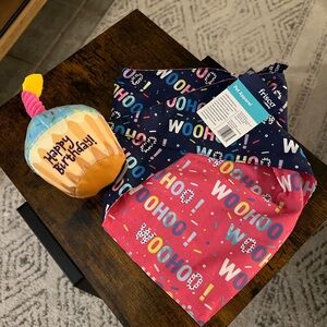 Dog Birthday Bandana and Toy